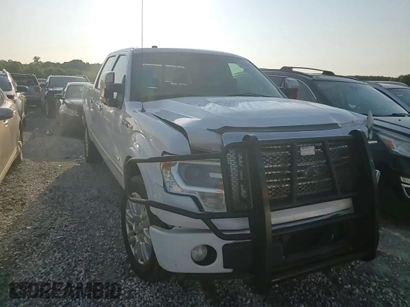 2013 Ford F-150 XL with VIN 1FTFW1ET5DFB52845, listed as a Copart auction lot 57955665 with 190,251 mi miles and Salvage title. Bid and sale history available at DreamBid. Image 13.