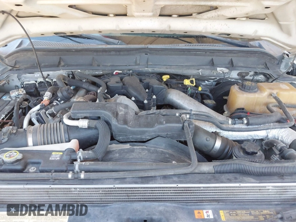 2011 Ford F-250 XL with VIN 1FT7W2BT0BEA98131, listed as a IAAI auction lot 42310427 with 299,856 mi miles and . Bid and sale history available at DreamBid. Image 10.