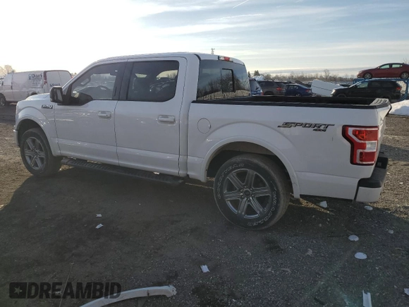 2019 Ford F-150 XL with VIN 1FTEW1EP9KKE01635, listed as a Copart auction lot 47281225 with 90,800 mi miles and Clean title. Bid and sale history available at DreamBid. Image 2.