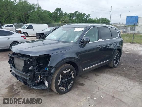 2024 Kia Telluride EX with VIN 5XYP34GC0RG491657, listed as a IAAI auction lot 41918338 with 19,511 mi miles and . Bid and sale history available at DreamBid. Image 2.