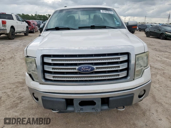 2013 Ford F-150 XL with VIN 1FTFW1EF4DFB09687, listed as a Copart auction lot 61425915 with 206,162 mi miles and Clean title. Bid and sale history available at DreamBid. Image 5.