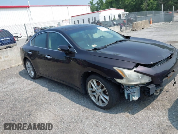 2010 Nissan Maxima SV with VIN 1N4AA5AP1AC872882, listed as a IAAI auction lot 42436283 with Not provided miles and . Bid and sale history available at DreamBid. Image 1.