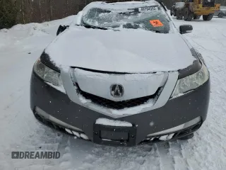 2010 Acura TL with VIN 19UUA8F27AA801169, listed as a Copart auction lot 88794555 with 0 mi miles and Salvage Title. Bid and sale history available at carsss.com. Image 5.
