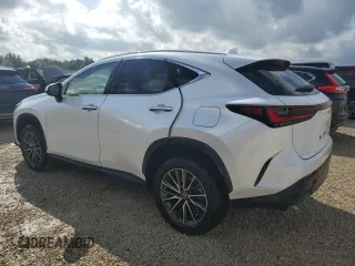 2023 Lexus NX with VIN JTJGDCAZ2P5009827, listed as a Copart auction lot 73701374 with Not Provided miles and Non Repairable. Bid and sale history available at carsss.com. Image 2.