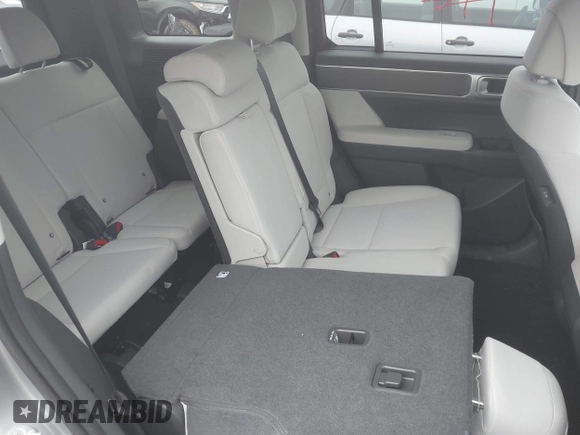 2024 Hyundai Santa Fe SE with VIN 5NMP1DGL2RH041164, listed as a IAAI auction lot 41976008 with 5,584 mi miles and . Bid and sale history available at DreamBid. Image 8.