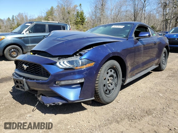 2020 Ford Mustang EcoBoost with VIN 1FA6P8TH3L5100144, listed as a Copart auction lot 52670225 with Not Provided miles and Salvage Title. Bid and sale history available at DreamBid. Image 1.