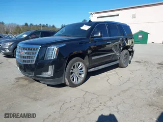 2018 Cadillac Escalade Luxury with VIN 1GYS4BKJ2JR213635, listed as a IAAI auction lot 41663754 with 65,991 mi miles. Bid and sale history available at carsss.com. Image 17.