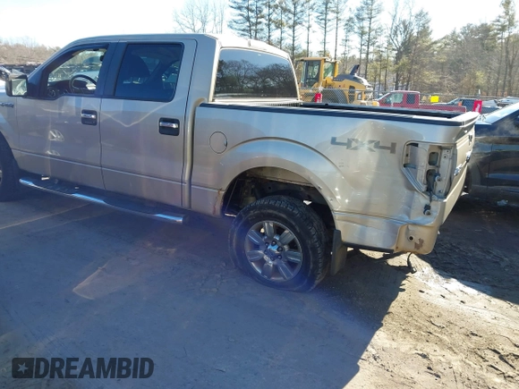 2009 Ford F-150 XL with VIN 1FTRW14819FB36787, listed as a IAAI auction lot 41471592 with 139,605 mi miles and . Bid and sale history available at DreamBid. Image 3.