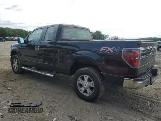2010 Ford F-150 XL z VIN 1FTEX1EW3AFB69254, wystawiony jako Copart lot #63039275 z przebiegiem 206 729 mil mil oraz Czysty tytuł • Clean title. Historia ofert i sprzedaży dostępna na DreamBid. Obrazek 2.