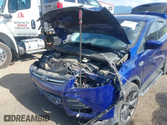 2013 Ford Escape SE with VIN 1FMCU9GXXDUB70983, listed as a IAAI auction lot 42432050 with 97,515 mi miles and . Bid and sale history available at DreamBid. Image 6.