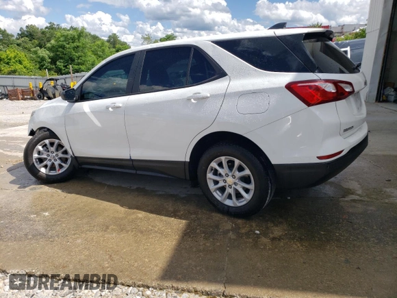 2021 Chevrolet Equinox LS with VIN 3GNAXFEV8MS173102, listed as a Copart auction lot 55698654 with 47,046 mi miles and Salvage title. Bid and sale history available at DreamBid. Image 2.