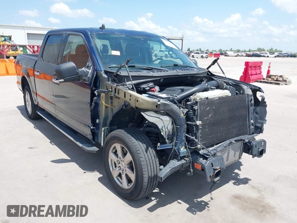 2019 Ford F-150 XL with VIN 1FTEW1C47KKE35050, listed as a IAAI auction lot 42684676 with 123,217 mi miles and . Bid and sale history available at DreamBid. Image 1.