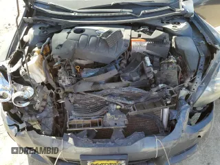 2010 Nissan Altima 2.5 S with VIN 1N4AL2EP5AC116653, listed as a Copart auction lot 49208135 with 0 mi miles and Salvage Title. Bid and sale history available at carsss.com. Image 12.