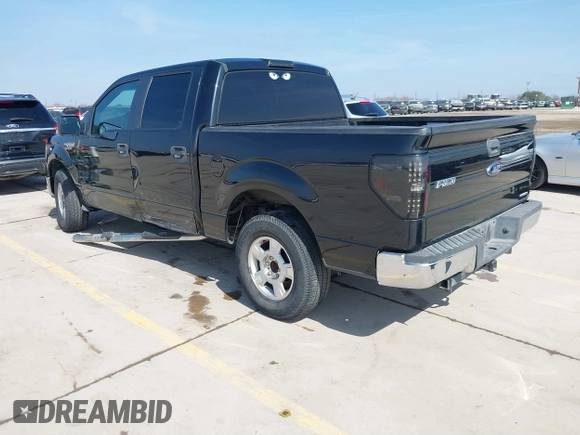 2013 Ford F-150 XL with VIN 1FTEW1CM8DFB46108, listed as a IAAI auction lot 41587199 with 195,251 mi miles. Bid and sale history available at carsss.com. Image 3.