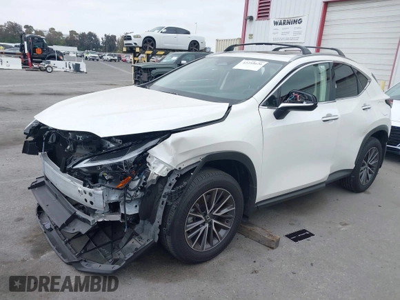 2025 Lexus NX 250 z VIN JTJADCAZ0S2016372, wystawiony jako IAAI lot #42254626 z przebiegiem 7 339 mil mil oraz . Historia ofert i sprzedaży dostępna na DreamBid. Obrazek 18.