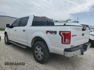2017 Ford F-150 XL with VIN 1FTEW1EP6HKC53436, listed as a Copart auction lot 47133935 with 171,017 mi miles and Salvage Title. Bid and sale history available at carsss.com. Image 2.