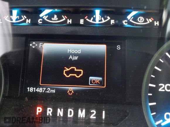 2017 Ford F-150 XL with VIN 1FTEX1EP9HKC95502, listed as a IAAI auction lot 41731718 with 181,487 mi miles. Bid and sale history available at carsss.com. Image 7.