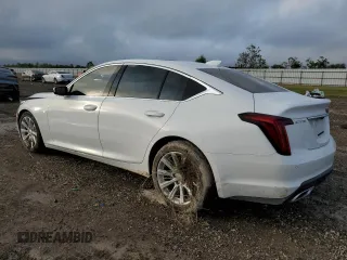 2022 Cadillac CT5 Luxury with VIN 1G6DW5RK8N0129874, listed as a Copart auction lot 79692414 with 35,773 mi miles and Salvage Title. Bid and sale history available at carsss.com. Image 2.