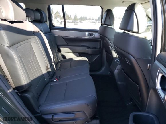 2024 Hyundai Santa Fe XRT with VIN 5NMP3DGL8RH059047, listed as a Copart auction lot 44592765 with 4,743 mi miles and Salvage Title. Bid and sale history available at carsss.com. Image 12.