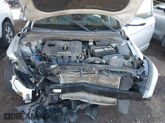 2018 Hyundai Elantra SEL with VIN 5NPD84LF4JH253716, listed as a IAAI auction lot 41906840 with 136,004 mi miles and . Bid and sale history available at DreamBid. Image 10.
