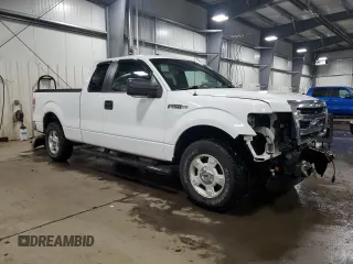 2014 Ford F-150 XL with VIN 1FTFX1CF1EKE75289, listed as a Copart auction lot 44131305 with 197,937 mi miles and Salvage Title. Bid and sale history available at DreamBid. Image 4.