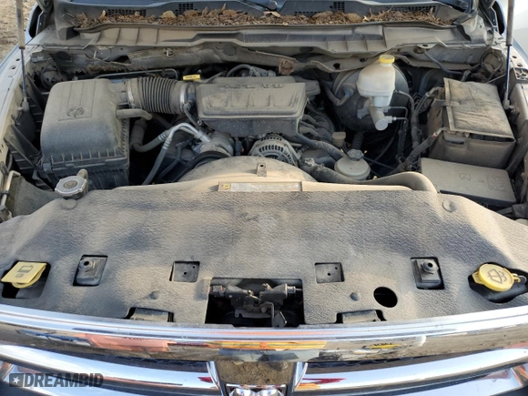 2010 Dodge Ram 1500 SLT with VIN 1D7RB1GP3AS221582, listed as a Copart auction lot 79067064 with 175,214 mi miles and Salvage Title. Bid and sale history available at carsss.com. Image 12.