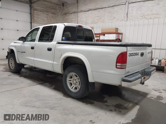 2001 Dodge Dakota Sport with VIN 1B7HG2AN31S229220, listed as a IAAI auction lot 42100843 with 134,034 mi miles. Bid and sale history available at carsss.com. Image 3.