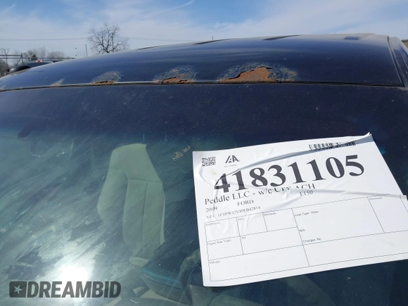 2009 Ford F-150 XL with VIN 1FTPW12V89FB42814, listed as a IAAI auction lot 41831105 with 234,982 mi miles. Bid and sale history available at carsss.com. Image 21.