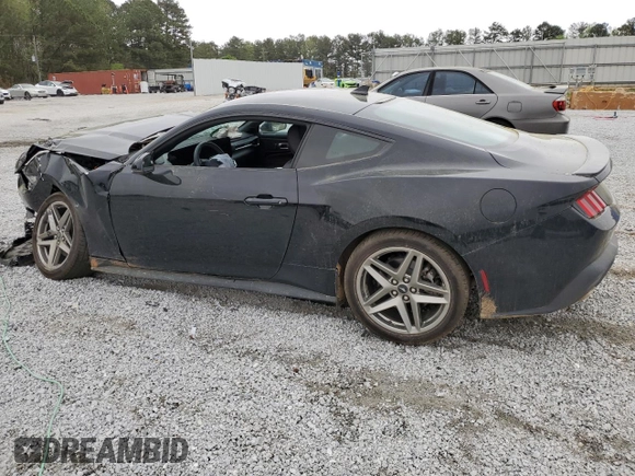 2024 Ford Mustang EcoBoost with VIN 1FA6P8TH8R5118552, listed as a Copart auction lot 50802265 with 4,767 mi miles and Salvage Title. Bid and sale history available at DreamBid. Image 2.