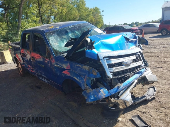 2014 Ford F-150 XL with VIN 1FTEW1CM7EKE11447, listed as a IAAI auction lot 40263342 with 136,589 mi miles. Bid and sale history available at carsss.com. Image 6.