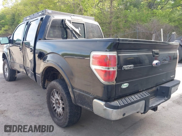 2011 Ford F-150 XL with VIN 1FTFW1EF5BFA12124, listed as a IAAI auction lot 42152233 with 201,366 mi miles and . Bid and sale history available at DreamBid. Image 3.