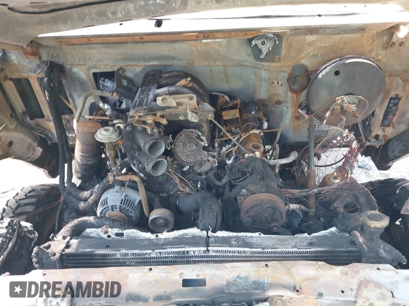 1996 Ford F-150 with VIN 1FTEF14N1TLA06585, listed as a IAAI auction lot 42393211 with Not provided miles and . Bid and sale history available at DreamBid. Image 10.
