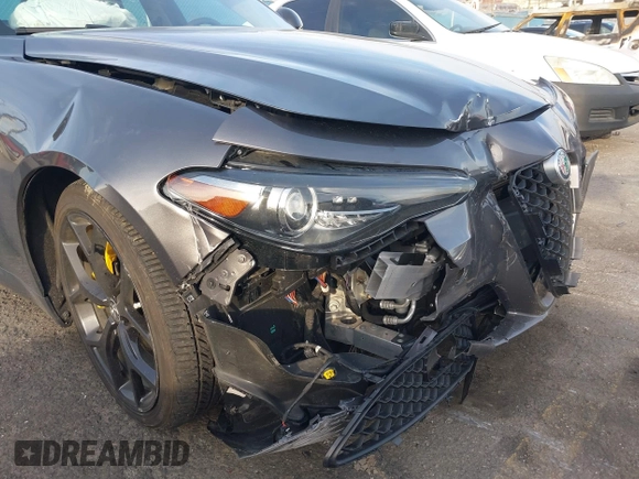 2019 Alfa Romeo Giulia z VIN ZARFAMAN2K7622544, wystawiony jako IAAI lot #41600030 z przebiegiem 37 045 mil mil oraz . Historia ofert i sprzedaży dostępna na DreamBid. Obrazek 6.