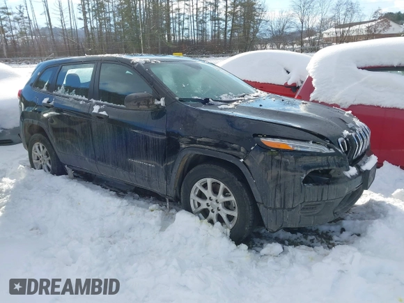 2017 Jeep Cherokee Sport with VIN 1C4PJMAB9HD215769, listed as a IAAI auction lot 41257530 with 110,935 mi miles. Bid and sale history available at carsss.com. Image 1.