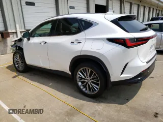 2024 Lexus NX 350h Luxury with VIN 2T2HKCEZ3RC020084, listed as a Copart auction lot 59913055 with 35,979 mi miles and Salvage title. Bid and sale history available at DreamBid. Image 2.