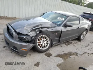 2014 Ford Mustang V6 with VIN 1ZVBP8AM9E5316301, listed as a Copart auction lot 51073695 with Not Provided miles and Salvage Title. Bid and sale history available at DreamBid. Image 1.
