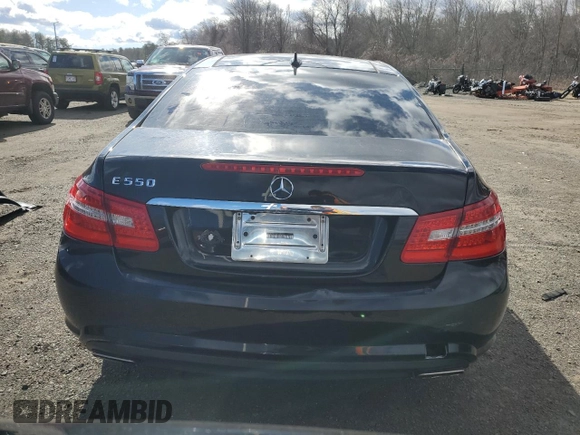 2010 Mercedes-Benz E-Class E 550 with VIN WDDKJ7CB3AF009212, listed as a Copart auction lot 48185345 with 132,734 mi miles and Clean Title. Bid and sale history available at carsss.com. Image 6.
