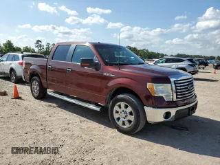 2010 Ford F-150 XL with VIN 1FTEW1C87AFD03660, listed as a Copart auction lot 53925855 with 252,174 mi miles and Clean Title. Bid and sale history available at DreamBid. Image 4.