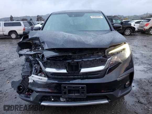 2019 Honda Pilot EX-L with VIN 5FNYF5H58KB036456, listed as a Copart auction lot 44360445 with 82,714 mi miles and Salvage Title. Bid and sale history available at DreamBid. Image 5.