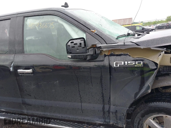 2019 Ford F-150 XL с VIN 1FTEX1EP4KFB13902, выставлен на аукционе IAAI как лот 42436675 с пробегом 34 285 миль миль и . История ставок и продаж доступна на DreamBid. Изображение 17.