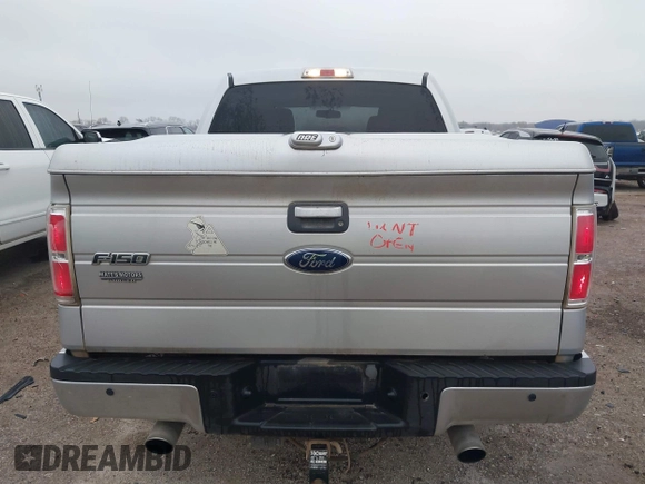 2010 Ford F-150 XL with VIN 1FTEW1C84AKE48789, listed as a IAAI auction lot 41430226 with 159,183 mi miles. Bid and sale history available at carsss.com. Image 16.