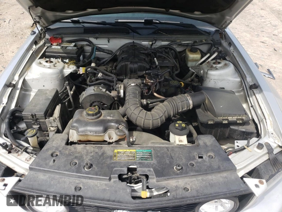 2005 Ford Mustang Deluxe with VIN 1ZVFT80N855113665, listed as a Copart auction lot 52346295 with 116,879 mi miles and Salvage title. Bid and sale history available at DreamBid. Image 11.