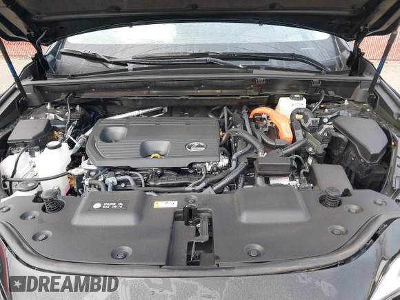2025 Lexus NX 350h Premium with VIN JTJGKCEZ7S2040520, listed as a IAAI auction lot 41019491 with 4,169 mi miles and . Bid and sale history available at DreamBid. Image 10.