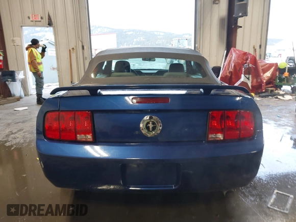 2006 Ford Mustang Standard with VIN 1ZVFT84N365217671, listed as a IAAI auction lot 41633515 with 80,637 mi miles and . Bid and sale history available at DreamBid. Image 17.