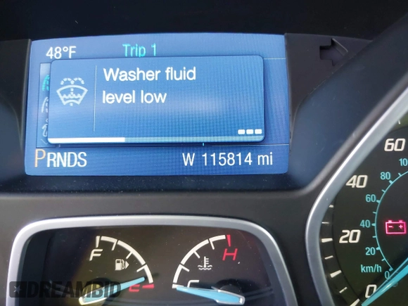 2014 Ford Focus SE with VIN 1FADP3F24EL199735, listed as a IAAI auction lot 41360060 with 115,814 mi miles and . Bid and sale history available at carsss.com. Image 16.