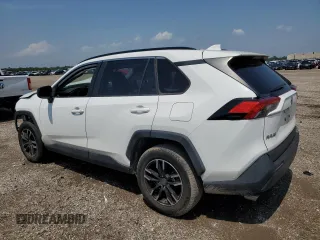 2019 Toyota RAV4 LE with VIN JTMH1RFV6KJ010214, listed as a Copart auction lot 54684325 with 0 mi miles and Clean Title. Bid and sale history available at carsss.com. Image 2.