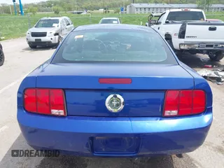 2005 Ford Mustang Deluxe with VIN 1ZVFT80N355159517, listed as a IAAI auction lot 42064180 with Not provided miles and . Bid and sale history available at DreamBid. Image 16.