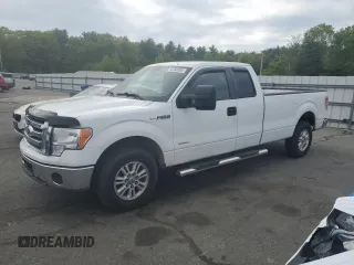 2011 Ford F-150 z VIN 1FTVX1CT2BKD31490, wystawiony jako Copart lot #56283385 z przebiegiem 120 080 mil mil oraz Szkoda całkowita • Salvage title. Historia ofert i sprzedaży dostępna na DreamBid. Obrazek 1.