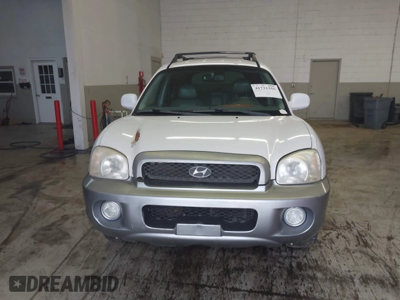 2004 Hyundai Santa Fe GLS with VIN KM8SC13E44U797943, listed as a IAAI auction lot 41731356 with 184,139 mi miles. Bid and sale history available at carsss.com. Image 12.