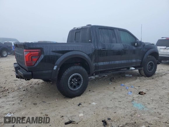 2024 Ford F-150 Raptor with VIN 1FTFW1RG2RFB14249, listed as a Copart auction lot 48995785 with 822 mi miles and Salvage Title. Bid and sale history available at DreamBid. Image 3.